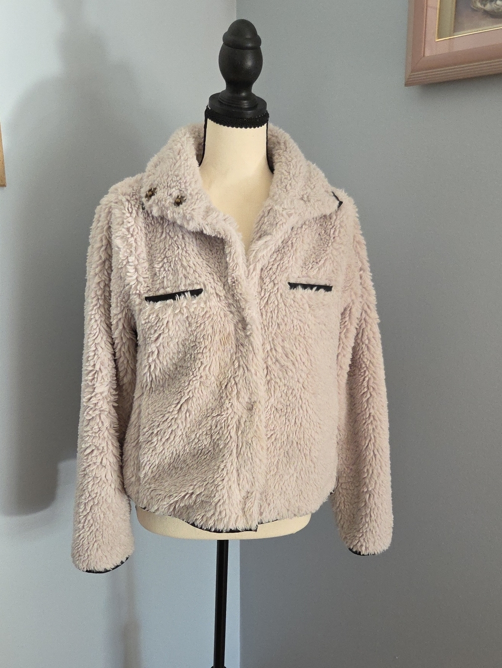 dylan Off-White Teddy Jacket with Dark Accents